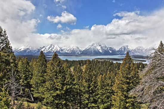 Der Grand Teton National Park grenzt nicht an den Yellowstone Nationalpark. Zwischen beiden liegt ein 16km breiter Streifen, der John D. Rockefeller, Jr. Memorial Parkway. Zusammen mit den umgebenden National Forests bilden diese drei Gebiete das 73000 Quadratkilometer grosse Greater Yellowstone Ökosystem, eines der grössten intakten Ökosysteme der mittleren Breiten.
