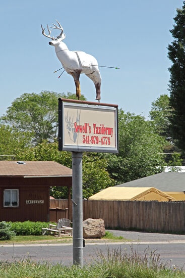 Taxidermie
Der Hirsch auf dem Foto ist nicht vandalisiert worden. Die Skulptur gehört samt der Pfeile und dem Plakat zur Werbung für einen Taxidermisten, der Tierkörper kunstvoll präparieren kann. Geschmack ist Geschmackssache.