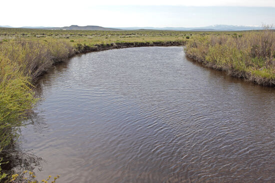 Donner und Blitzen River
JA, der Fluss heisst wirklich so! Deutsche Soldaten, die den Fluss 1864 während eines Gewitters überquerten, gaben ihm den Namen. Die Äste des Donner und Blitzen River entspringen am Steens Mountain und fliessen gemeinsam in den Malheur Lake. Der See ändert seine Grösse je nach Niederschlag. 1934 und 1992 trocknete er fast ganz aus, in den 1980er Jahren verdreifachte er seine normale Grösse.