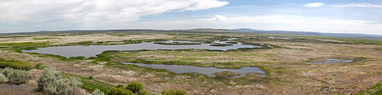 Malheur National Wildlife Refuge
1826 begleitete der franko-kanadische Pelzjäger Peter Skene Ogden eine Expedition von über 100 Mann in das Harney Basin, um Pelztiere für die Hudson Bay Company zu jagen. Es gab aber kaum Pelztiere und auch wenig zu essen in dem Gebiet und so nannte er es „Malheur“, dem französischen Wort für „Unglück“. Seitdem heisst der See offiziell „Lake Malheur“. Tatsächlich ist der See nicht wirklich ein See, sondern eines der grössten Marschgebiete der U.S.A. Da der See keinen Abfluss hat, schwankt das Wasser von Jahrzehnt zu Jahrzehnt extrem stark. 1934 und 1992 trocknete er fast aus und Mitte der 1980er Jahre verdreifachte er seine Grösse. Während feuchter Jahre wächst quadrakilometerweise Kamm-Laichkraut (Stuckenia pectinata) im Wasser, das Nahrungsmittel für lokale Vögel und Zugvögel ist.