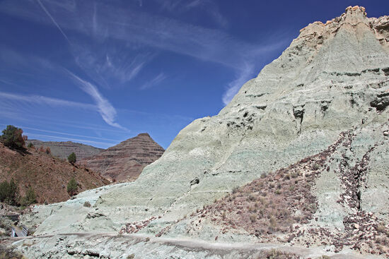 Blue Basin
Die John Day Fossil Beds in Oregon sind auf mehrere Gebiete aufgeteilt. Jedes unter ihnen ist einzigartig hinsichtlich der Funde oder Gesteinsarten. Das Blue Basin besteht aus weichem Material, das leicht erodiert und dabei Fossilien freigibt. Es heisst zwar "Blue Basin", aber für mich ist die Farbe der Abhänge eher graugrün. Womöglich hängt der Farbeindruck von den Lichtverhältnissen ab.