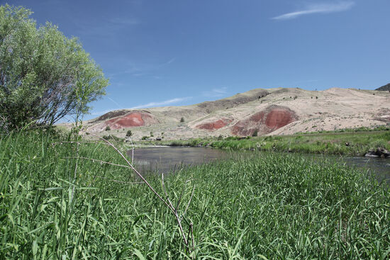 Lebensader
Ein Wasserlauf ist die Lebensader einer Ranch. Das wertvolle Gut Wasser im trockenen Westen wurde sorgsam durch Gräben und Kanäle geleitet, um Felder zu bewässern oder Vieh zu tränken. Auf der hier als Museum eingerichteten Farm wurde mit der Bewässerung der Felder in den 1890er Jahren begonnen. Über ein Jahrhundert hindurch wurde hier Obst, Getreide, Gemüse und Gras angebaut. Der National Park Service kaufte 1975 die Ranch und nutzt seither die historischen Wasserrechte, um Heu in althergebrachter Weise als Viehfutter zu produzieren.