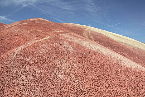 Wer schmeisst denn da mit Lehm...
Lehm, Vulkanasche und 39 Millionen Jahre alte Überreste von Tieren und Pflanzen sind die Zutaten der Painted Hills. Da dieses Gemisch relativ weich ist, wird es leicht durch Wind und Wetter abgetragen. So tauchen immer wieder mal versteinerte Blätter urweltlicher Bäume oder Knochen von Säbelzahntigern und anderen Säugern an der Oberfläche der bunten Hügel auf.