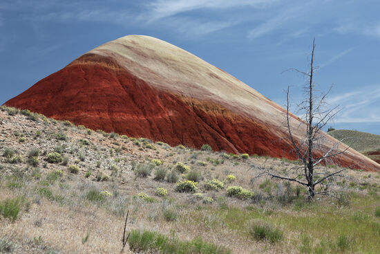 Leaf Hill Trail
Auf dem Leaf Hill Trail im John Day Fossil Beds National Monument gibt es nicht nur die üblichen bunten Hügel und gelben Blumen entlang des Wegrandes, sondern auch ein Gebiet, wo man - mit etwas Glück - auch versteinerte Blätter eines Waldes aus vergangener Zeit entdecken kann.
