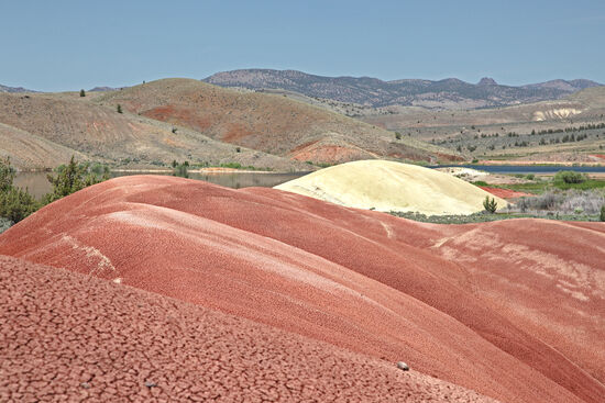 Der weisse Hügel
Sind die Farben in diesem Gebiet schon ungewöhnlich, sticht doch eine von ihnen besonders heraus. Vor 39 Millionen Jahren fegte eine extrem heisse Wolke aus vulkanischer Asche über das Land und vernichtete auf einen Schlag den tropischen Regenwald, der hier wuchs. Ältere Fossilien des Regenwaldes liegen unter den rotbraunen, roten und ockerfarbenen Schichten, jüngere Fossilien finden sich in den weissen Hügeln. Sie sind Teil der jüngeren John-Day-Formation und stehen für ein kühleres Klima mit ausgeprägten Jahreszeiten und einer neuen Pflanzengemeinschaft: Gräser!
