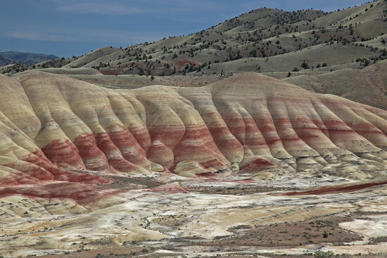 Die weichen Hügel Oregons
Einige der Hügel in der Painted Hills-Untereinheit des John Day Fossil Beds National Monument sehen aus wie mit Samt überzogen. Rundgelutscht durch Erosion, wie ein Karamellbonbon.