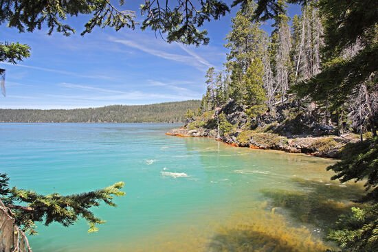 Überdüngung
Paulina Lake in der Newberry-Caldera ist ein Gewässer mit relativ geringem Wasseraustausch. Alle 46 Jahre erneuert sich der Inhalt des Sees. Dementsprechend kann der See nur allzu leicht überdüngt werden. Das Algenwachstum ist nicht zu übersehen.