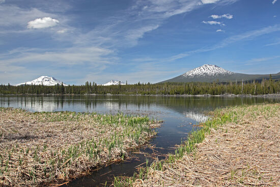 Bergpanorama in Zentraloregon
In 1446m Seehöhe träumt der Little Lava Lake im Schatten des Mt. Bachelor ruhig vor sich hin. Hier kann man entspannen oder im See angeln. Regenbogenforelle, Bachforelle und Tui Chub, ein karpfenähnlicher Fisch, gehören zu den kulinarischen Lieblingen der Angler.
Die Dreitausender South Sister und Broken Top ragen über den Horizont, aber der "nur" 2764m hohe Mt. Bachelor dominiert trotz seiner geringeren Höhe die Szenerie um den Little Lava Lake.