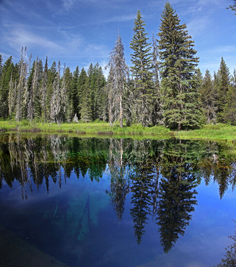 Little Crater Lake
Dieser kleine Bruder des Crater Lake hat nichts mit letzterem zu tun. Er ist nicht nach einer Eruption eines Vulkans entstanden und ist auch nicht mal in der Nähe des grossen, weitaus berühmteren Sees. Little Crater Lake ist durch artesisches Wasser entstanden, das sich durch eine Bruchzone im Grundgestein emporgearbeitet hat. Über dem Grundgestein liegen hier Kies und Schluffmergel, die durch das unter Druck stehende Wasser ausgespült wurden. Dadurch bildete sich dieser kleine See, dessen Wasser unterirdisch aus den Gletschern des Mt.Hood gespeist wird. Die Wassertemperatur beträgt konstante 1 Grad Celsius – das ganze Jahr über.