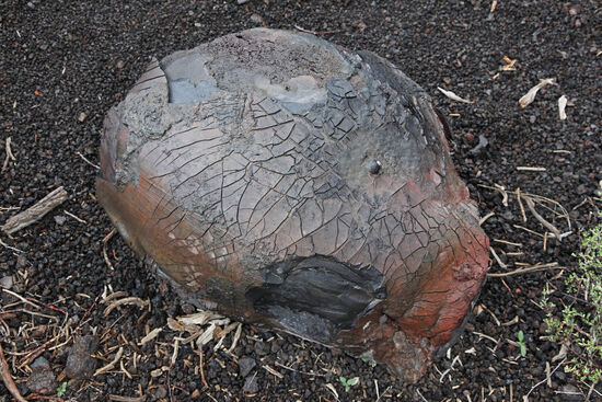 Lavabombe
Das ist hier wörtlich zu nehmen! Die Vulkane des Craters of the Moon National Monument brachen manchmal sanft aus, mit dünnflüssiger, einfach aus dem Krater überlaufender Lava. Manchmal aber gab es explosive Ausbrüche, während derer auch metergrosse, halb erstarrte Lavabomben ausgestossen wurden. Einige dieser Bomben landeten unversehrt und haben sich seit tausenden von Jahren in dieser Form gehalten.
