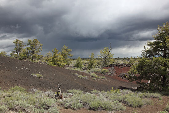 Endlich grün
Dunkle Schnee- und Regenwolken ziehen über die weite Ebene des Snake River, an deren nördlichem Ende sich das Craters of the Moon National Monument befindet. Nur im Frühling können die Pflanzen hier auf nennenswerte Niederschläge hoffen und bedanken sich artig mit ihren Grüntönen, die sich als Kontrast zu den Farben des Bodens und des Himmels verstehen.