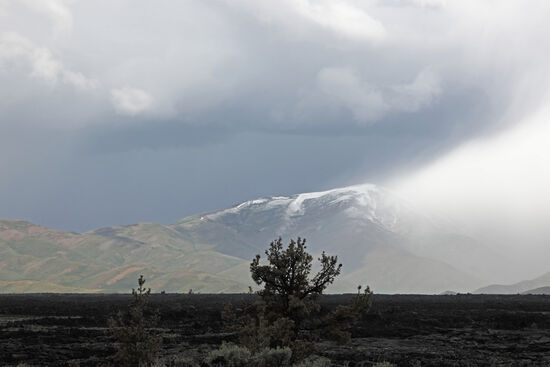 Blizzard Mountain
Ein Schneesturm fegt von den Rocky Mountains in die Ebene des Snake River herab. Bezeichnenderweise heisst der Berg im Bild "Blizzard Mountain". Wir befinden und hier im Craters of the Moon National Monument, daher die düstere Farbe des Bodens: er besteht hier aus erkalteter Lava.
