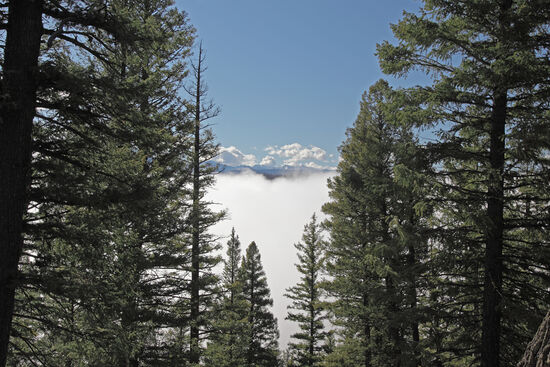 Wo ist der See?
Über dem Redfish Lake in den Sawtooth Mountains in Idaho lag am frühen Morgen ein Nebelfeld, das sich später lichtete. Dennoch fand ich das Motiv reizvoll...