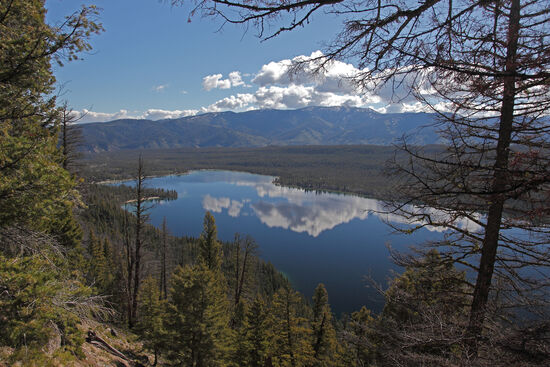 Redfish Lake hat seinen Namen von den Millionen und Abermillionen roten Lachsen (Oncorhynchus nerka), die in vergangener Zeit zum Laichen in den See kamen. Heute werden nur noch wenige Fische gesehen und Angler müssen Rotlachse sofort wieder in den See werfen, um die Art hier nicht noch mehr zu schädigen. Der Seespiegel liegt auf 1996m Meereshöhe und vom Wanderweg um den See herum hat man immer wieder spektakuläre Aussichten über See und Berge.