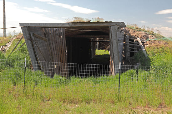 Der Kartoffelkeller von Minidoka
Im 2.Weltkrieg war die Produktion und die Lagerung von Nahrungsmitteln von höchster Wichtigkeit. Dieser Kartoffelkeller war einer von mehreren, die im Internierungslager Minidoka gebaut wurden, um den Vorgaben des Kriegsministeriums gerecht zu werden. Ausserdem wurden eine Konservenfabrik und eine Einweckanlage gebaut. 1943 produzierten die Häftlinge 500 Tonnen Kartoffeln, 35 Tonnen Karotten und 46 Tonnen Kohl. Das Gemüse wurde in den Kartoffelkellern kühl gelagert, bis es gebraucht wurde. In dieser unwirtlichen Wüste hielt der Keller die Ernte im Sommer kühl und verhinderte im Winter ein Einfrieren. So trugen die Gefangenen dazu bei, dass es während des Kriegs keine Nahrungsmittelknappheit gab.