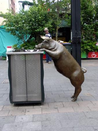 Dieses "Schwein" fand ich cool!