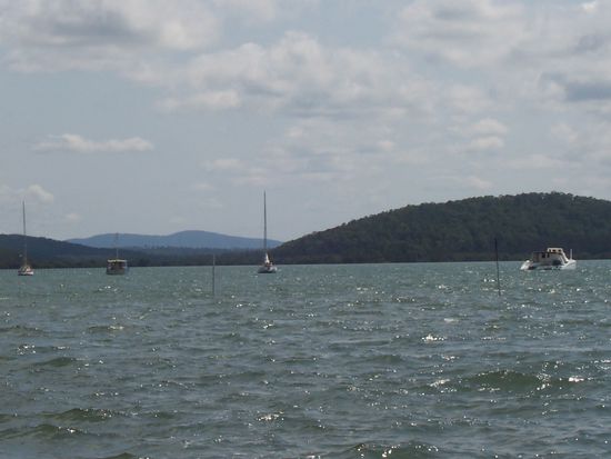 North Arm Cove - direkt vor der Haustuer