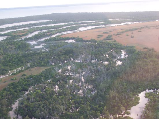 die Wetlands von oben