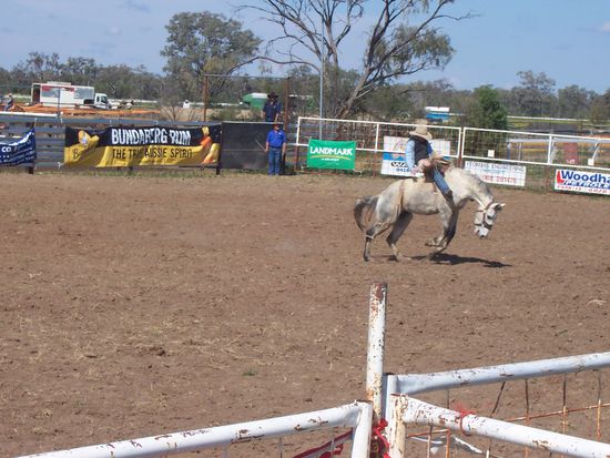 Pferd - noch mit Reiter