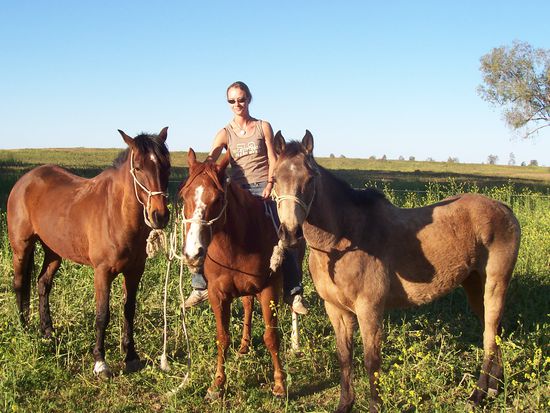 Wallie, Charlie und Beau