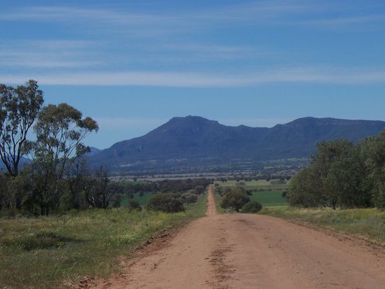 Warrumbungle NP in der Entfernung