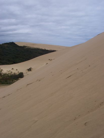 hier bin ich rauf geklettert