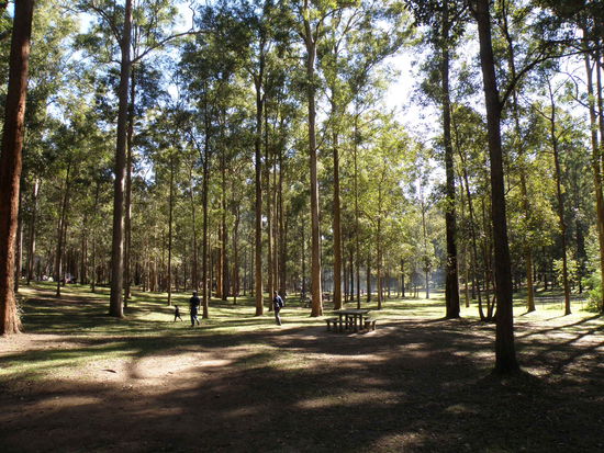 Daisy Hill Conservation Park