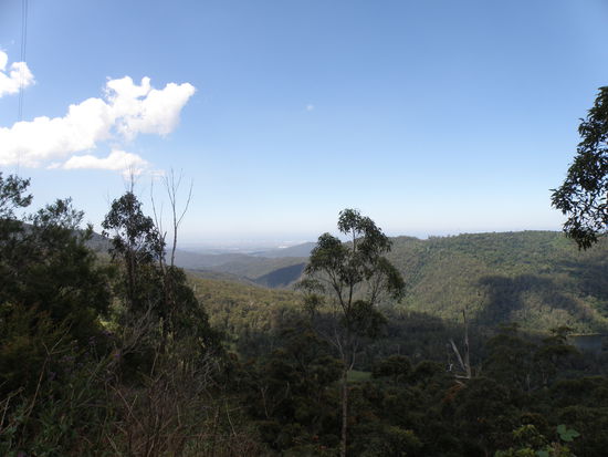 Springbrook National Park