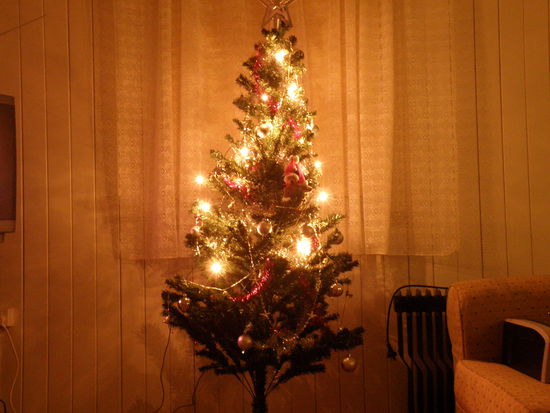 Unser ca. 15$ Weihnachtsbaum