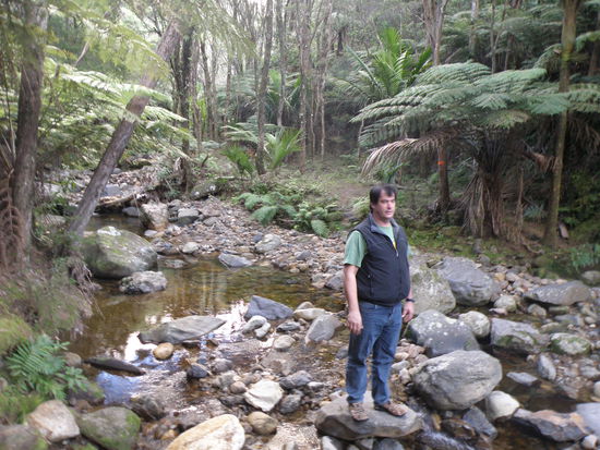 der Weg zum Wasserfall