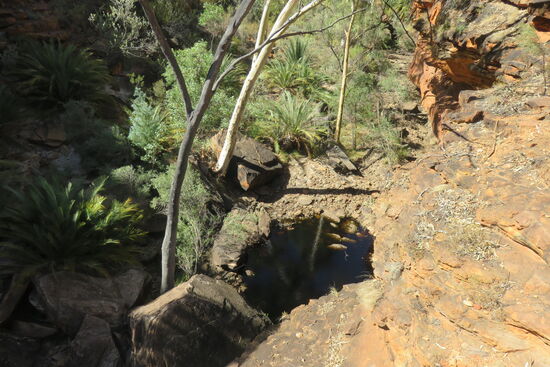 Im Garden of Eden