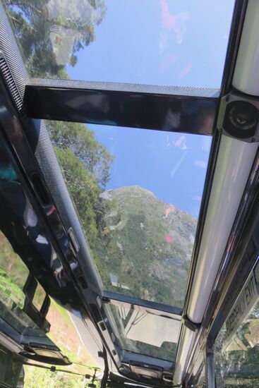 Der Blick nach oben aus unserem Bus.