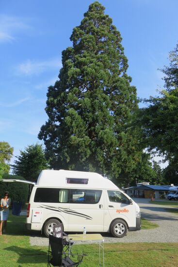 Campingplatz in Geraldine