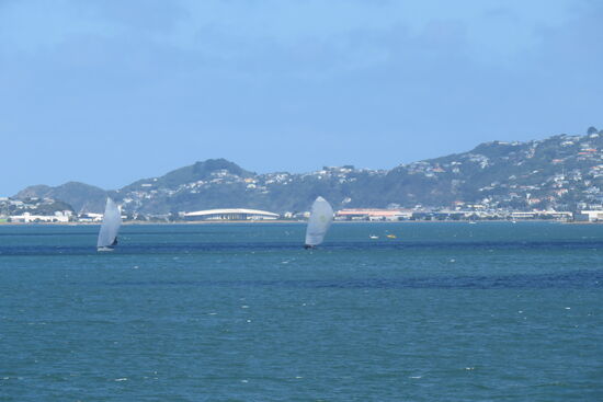 Vor Wellington