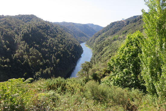 Blick auf den Whanganui River