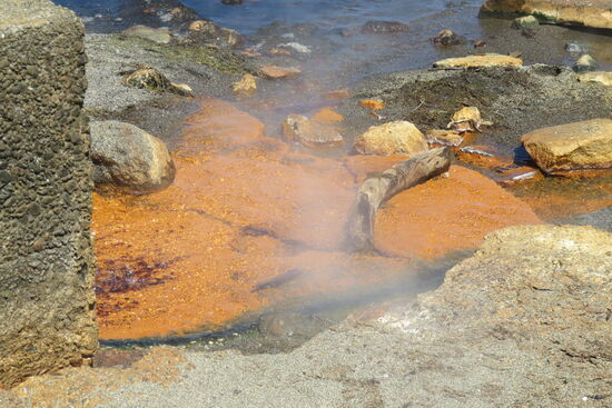 Heißer Zulauf zum See