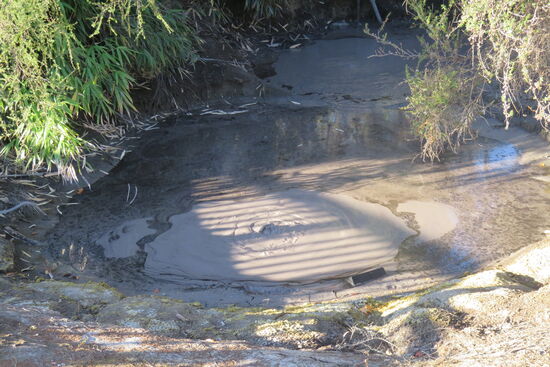 Brodelnder Schlamm im Kuirau Park in Rotorua