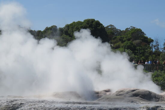 Der Pohutu Geysir
