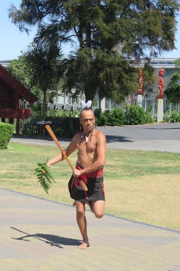 Maori Stammesoberhaupt kommt mit Farn zur Begrüßung der Gäste.