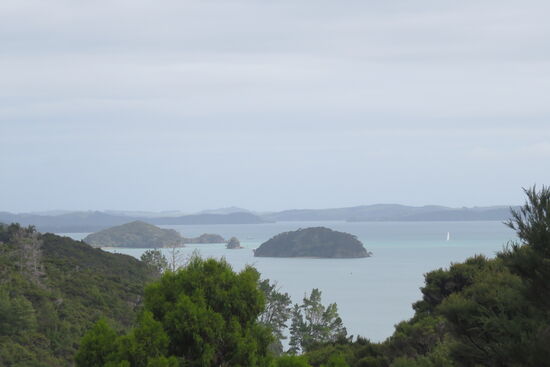 Blick auf die Bay of Islands von unserem Frühstückstisch aus.