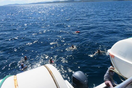 Es geht zum Schnorcheln in Wasser.