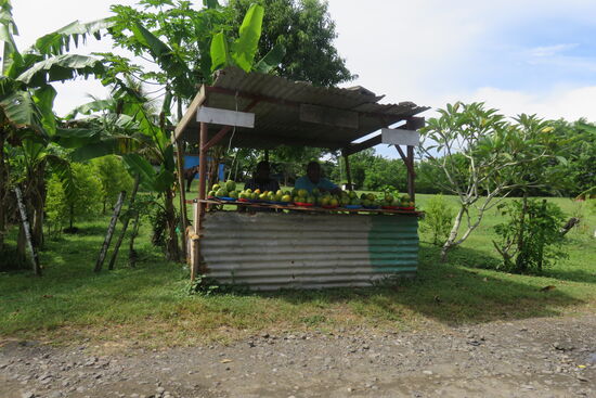 Obst- und Gemüseverkauf am Wegesrand.