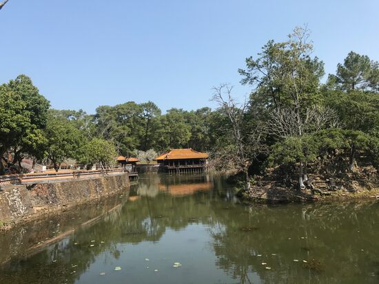 Seerosenteich mit großen und bunten Koi Karpfen, umsäumt von Pinien.