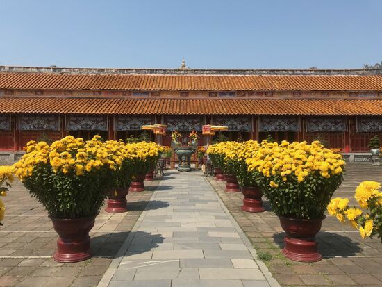 Die Ahnenhalle. Die Blumen entlang des Weges sind anlässlich des Tet-Festes aufgestellt.