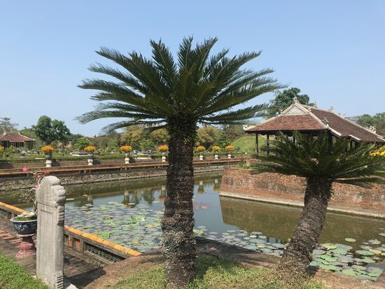 Im Bonsai Garten im hinteren Teil des Palastes.