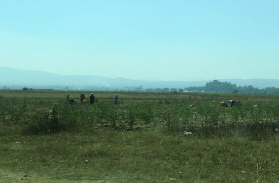 Shan Bauern beim Bearbeiten ihrer Felder.