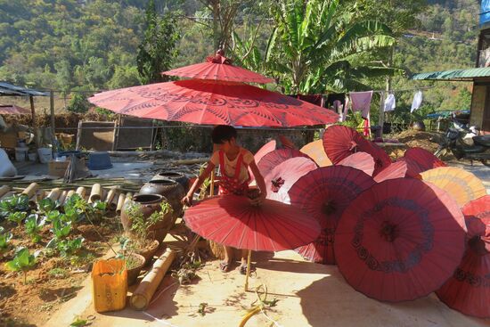 Zum Schluss wird die Oberfläche mit farbigem Öl eingerieben, um die Schirme Wasserabweisend zu machen.