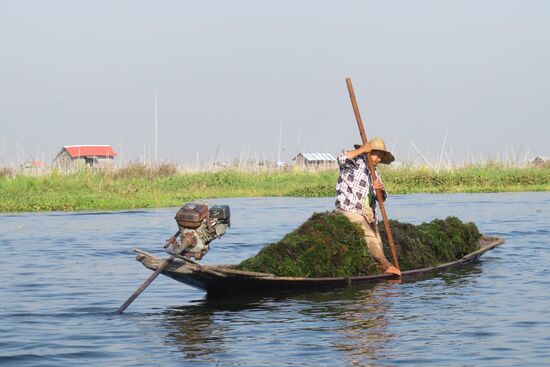 Vom Grund des Sees werden Algen und Wasserpflanzen für das Anlegen der nächsten Beete eingesammelt.