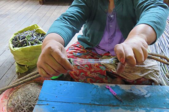 Die Lotusstangen werden gebrochen, die feinen Fäden gedreht,  zu Garn gesponnen und zu Kleidung verwebt, die im Sommer kühlen und im Winter wärmen soll.