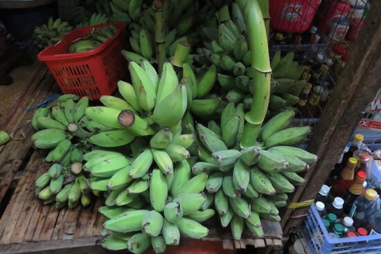 Die einheimischen Bananen sind nicht nur kleiner und dicker im Aussehen, sondern schmecken etwas mehliger, dafür süßer.